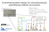 A sentinel protein assay for simultaneously quantifying ... A sentinel protein assay for simultaneously