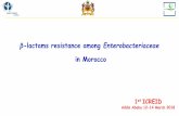 β lactams resistance among Enterobacteriaceaeregist2.virology-education.com/presentations/2018/ICREID/32_timinouni.pdfβ-lactams resistance among Enterobacteriaceae in Morocco 1st