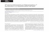 Structural Determinants of Oligomerization of Δ1-Pyrroline ...faculty.missouri.edu/~tannerjj/tannergroup/pdfs/P5CDHhotspotJMB2013.pdfStructural Determinants of Oligomerization of