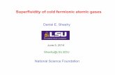Daniel E. Sheehy - LSU · • Finite density 2D gas: Always BEC? Strong Attraction: λ>λ c Weak Attraction: λ