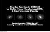 The Bar Fraction in COSMOS by Stellar Mass, Morphology ... In COSMOS : Using Zurich bulge-disk decomposition