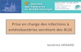 Prise en charge des infections à bactéries sécrétant des BLSE · E.coli. et résistance aux céphalosporines de 3. ième. génération . 2003 : < 1% . 2011 : 8,2% . En communautaire: