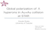 Global polarization of ®â€ hyperons in Au+Au collision ... Becattini, Karpenko, Lisa, Upsal, and Voloshin,