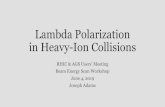 Lambda Polarization in Heavy-Ion Collisions 2019-06-10¢  Background June 4, 2019 RHIC & AGS Users' Meeting