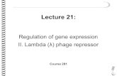 281 Lec21 2019 - HAGeneticshagenetics.org/hh/wp-content/uploads/2019/09/281_Lec21_2019.pdf · Lambda (λ) phage repressor Course 281. Lessons for life. AIMS • Understand the life