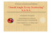 XI School on Synchrotron Radiation “Small Angle X-ray ...webusers.fis.uniroma3.it/.../pdf/Polizzi_SmallAngleScattering.pdf · small‑angle scattering appears to have reached a