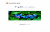 TopBlueberries - ΚΕΜΕΛ...6. Λίγα λόγια για α μύριλλα 7. Η Παγκό 1μια και η Ελληνική αγορά 8. SWOT Analysis 9. Κύρια θέμαα