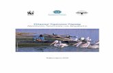 Λίμνες Κορώνεια και Βόλβη - · PDF file 2009-05-22 · Δέλτα Αξιού, ... Ειδική αναφορά πρέπει να γίνει στο Δέλτα του