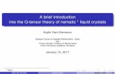 A brief introduction into the Q-tensor theory of nematic ...users.uoa.gr â€؛ ~nalikako â€؛ آ  An introduction