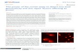 The power of the comet assay to detect low level ... · The comet assay is a rapid procedure for quantitating DNA lesions in mammalian cells.1,2 During the last two decades, this