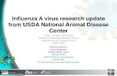 Influenza A virus research update from USDA National ... · • 36 new viruses to generate swine anti-sera (x2) - 5 human strains • 60 viruses tested against new antisera • 29