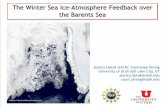 The Winter Sea Ice-Atmosphere Feedback over the Barents Sea · Kroll, A, 2009: Sea ice in the Barents Sea: Seasonal to interannual variability and climate feedbacks in a global coupled
