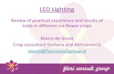 LED Lighting - Canadian Greenhouse Conference › ... • LED lighting additionally improves quality due to limited crop and greenhouse temperature • Full LED demands more energy