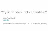 Why did the network make this prediction?ece739/lectures/18739... · Understanding Deep Neural Networks We understand them enough to: Design architectures for complex learning tasks