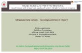 Ultrasound lung comets new diagnostic tool in HFpEF? · Ultrasound lung comets –new diagnostic tool in HFpEF? Σταύρος Δημόπουλος, ... B-LINES SIMPLIFIED SCANNING