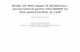 Role of the type II diabetes- associated gene SLC30A8 in ... · PDF file 4 Abstract The SLC30A8 locus encodes the Zn2+ transporter ZnT8, whose expression is largely restricted to α-