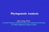 Phylogenetic Analysis · 2013-10-16 · Phylogenetic Analysis Han Liang, Ph.D. ... • Bootstrap Analysis . What is Phylogenetics • The term phylogenetics derives from Greek ...
