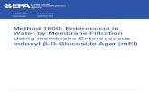 Method 1600: Enterococci in Water by Membrane Filtration Using membrane-Enterococcus ... › ... › documents › method_1600_sept-2014.pdf · 2018-06-01 · Method 1600 1 September