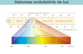 Natureza ondulatória da luz - Universidade Federal de ... … · A teoria ondulatória da luz foi bem sucedida para explicar a maioria das propriedades da luz entretanto ela não