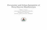 Permutation and Unitary Symmetries of Many-Electron ... · Permutation and Unitary Symmetries of Many-Electron Wavefunctions P eter G. Szalay ... obtain coe cients which results in
