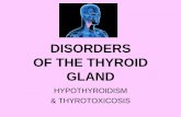 DISORDERS OF THE THYROID GLAND · 2019-03-20 · DISORDERS OF THE THYROID GLAND HYPOTHYROIDISM & THYROTOXICOSIS. ... radioisotope by thyroid gland. Myxedema Examination of thyroid