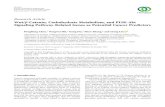 β-Catenin,CarbohydrateMetabolism,andPI3K-Akt …downloads.hindawi.com/journals/jhe/2019/9724589.pdf · 2019-10-17 · Conventional Machine Learning Algorithms. Allfour widely used