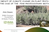 IMPACT OF CLIMATE CHANGE ON PLANT PESTS THE CASE OF … › fr › system › files › Chgt_global_CO_18042324R… · A major forest pest Highly urticating larvae for humans and