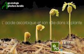 gro-écologie griculture durable · Alves RE, Filgueiras HAC, Moura CFH, Araujo NCC, Almeida AS. (2002). Camu-camu (Myrciaria dubia McVaugh): a rich natural source of vitamin C. 48th