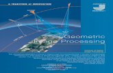 Geometric Image Processing · processing of a wide variety of remote sensing image data – whether acquired by optical or SAR sensors, from spaceborne or airborne platforms, at low