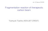 Fragmentation reaction of therapeutic carbon beam · Bragg-peak. Particle therapy facilities in Japan The Energy Research Center Wakasa Bay (Tsuruga: 200 MeV) Hyogo Ion Beam ... would
