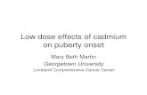 Low dose effects of cadmium on puberty onset › ncer › publications › web › pdf › martin.pdf · 2) 0 20 40 60 80 100 5 µg/kg cadmium Vehicle 0.5 µg/kg cadmium * * Alveolar