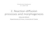 Introductory biophysics A. Y. 2017-18 · Reaction-diffusion processes and morphogenesis Edoardo Milotti Dipartimentodi Fisica, Università di Trieste. Edoardo Milotti - Introductory