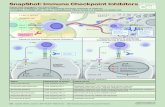 SnapShot: Immune Checkpoint Inhibitors€¦ · SnapShot: Immune Checkpoint Inhibitors Gabriel Abril-Rodriguez1 and Antoni Ribas1,2 1Department of Medicine, Division of Hematology-Oncology,