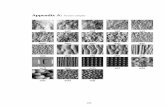 Appendix A: Texture samples - HW · The relighting stage is implemented in three different ways: using image-based, gradient-based, and height-based approaches. Thus there are a total