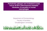 Periodontal pathogen EGAT21-12-2011ฉบับแก้ไข · Cholesterol Early study • Cholesterol: hallmark of late Breakthrough knowledge • Recent study (Duewell et al.,