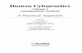 Chromosome analysis by non-isotopic in situ hybridization. · 2012-12-05 · 1. An introduction to human chromosomes and their analysis ι /. Wolstenholme 1. Introduction 1 2. Chromosomes