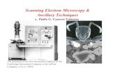 Scanning Electron Microscopy & Ancillary Techniquesacademic.uprm.edu › pcaceres › Courses › CHAMINA › HO3.pdf · History of the Scanning Electron Microscope 1931 The TEM (Transmission
