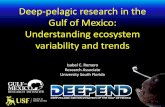 Deep-pelagic research in the Gulf of Mexico: …...2019/05/09  · Deep-pelagic research in the Gulf of Mexico: Understanding ecosystem variability and trends Collaborations before,