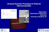 Unusual Dynamic Processes in Polymer Nanocomposites Unusual Dynamic Processes in Polymer Nanocomposites