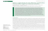 HSV-2 ΔgD elicits FcγR-effector antibodies that protect against … · 2016-07-27 · are able to resume a normal lifestyle (2). A more recent epidemiological study estimates HSV-2
