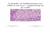 A Study of Sulfonylureas’ - Unga Forskare · sulfonylureas helps producing insulin, by increasing the Ca2+ signaling. In our study, we compared three different such drugs, from