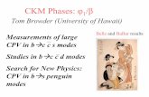 CKM Phases - Fermilabconferences.fnal.gov/lp2003/program/S5/browder_s05_ungarbled.pdf · Requirements for CPV measmts. • Many B mesons [Br (B→f CP) ~ O(10−3 )] – 2003: PEP-IIÆ131