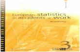 European statistics on accidents at work : Methodologyaei.pitt.edu/75814/1/methodology.1998.pdf · 2016-05-25 · (4) OJ C168 of 4.07.95, pp 1-2. (5) Council Decision 99/126/EC on