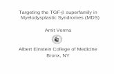 Targeting the TGF-βsuperfamily in Myelodysplastic ... Targeting the TGF-βsuperfamily in Myelodysplastic Syndromes (MDS) Amit Verma. Albert Einstein College of Medicine. Bronx, NY
