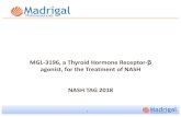 MGL-3196, a Thyroid Hormone Receptor-β · 2018-01-07 · A20/TNFaip3 CRP Annexin 2 SAA1 Fibrosis Collagen 1 Galectin-3 TIMP1 Collagen 4a2 SMA Collagen 4a1 CTGF Keratin 18 Collagen