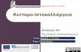 Κυαρο Ι 2οκαλλιέργια - AUA · 2016-01-15 · Εμπορικά 2οιχία (α) Η εμπορική ιστοκαλλιέργεια διεθνώς: Γ &γραφική
