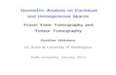 Geometric Analysis on Euclidean and Homogeneous Spaces ...math.tufts.edu/faculty/equinto/workshop2012/talks/Tufts_Uhlmann.pdf · Geometric Analysis on Euclidean and Homogeneous Spaces