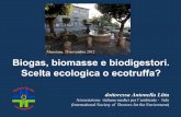 Manziana, 24 novembre 2012 Biogas, biomasse e biodigestori ... · Ecologìa (oikos casa-ambiente e logos) parte della biologia che studia le relazioni tra organismi o gruppi di organismi