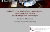 GMACS: The Wide-Field, Multi-Object Spectrograph …...First Generation Instruments Instrument / Mode Capabilities λ Range, μm Resolution Field of View G-CLEF / NS, GLAO Optical