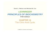 LEHNINGER PRINCIPLES OF BIOCHEMISTRYpds16.egloos.com/pds/200911/16/58/091013-pob_5e_ch16...David L Nelson and Michael M Cox LEHNINGER David L. Nelson and Michael M. Cox PRINCIPLES